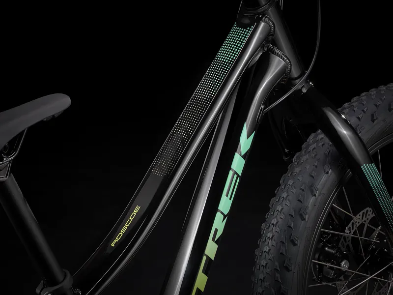 TREK Roscoe 20 Kids Mountain Bike in Black-6